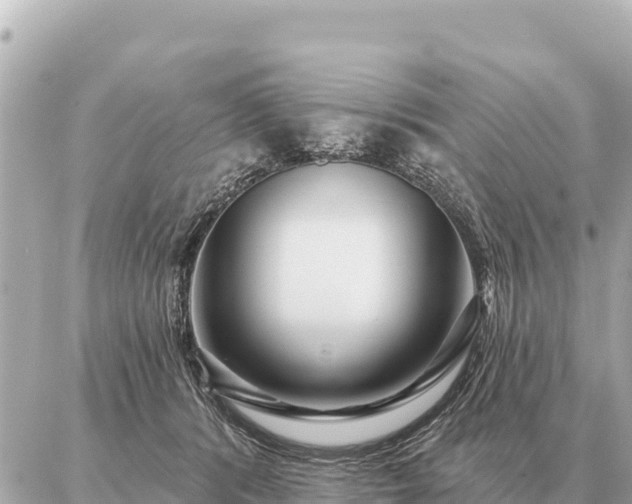 X0000086980416200704231824