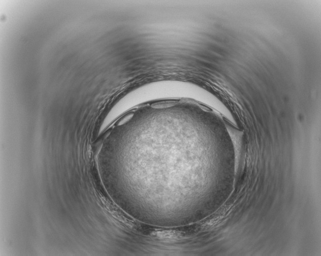 X0000086980417200704231824