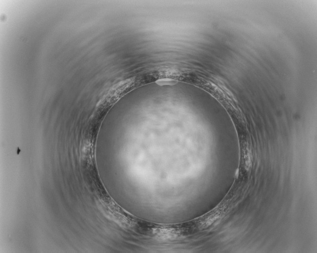 X0000086980419200704231824