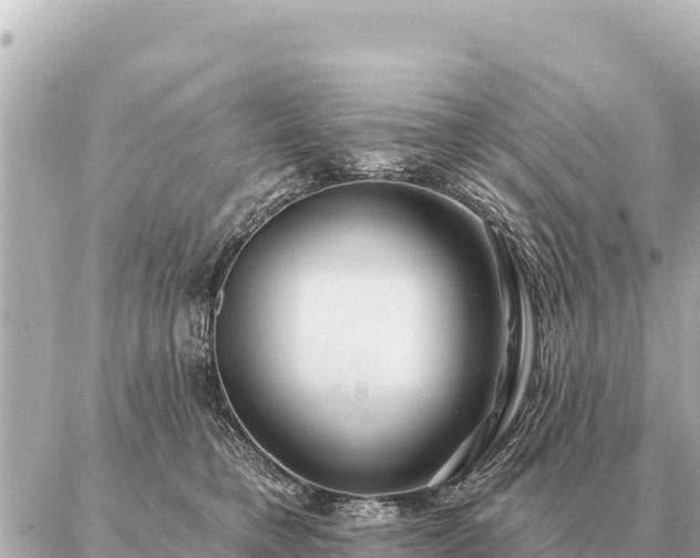 X0000086980421200704231824