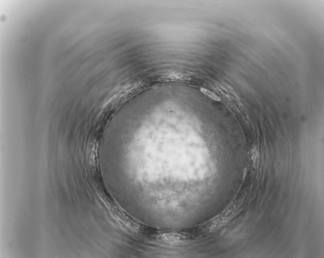 X0000086980423200704231824