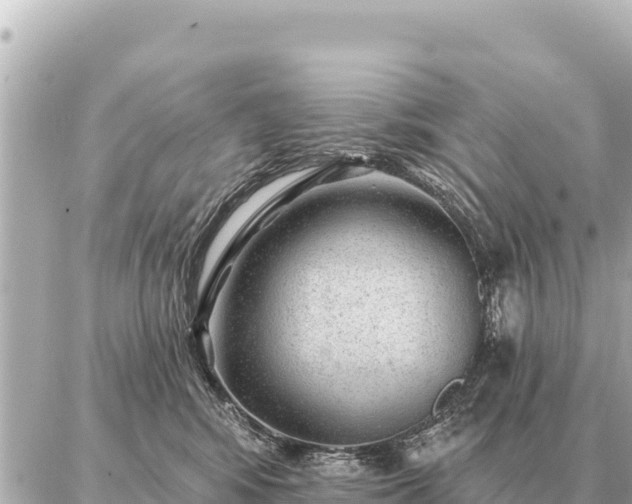 X0000086980424200704231824