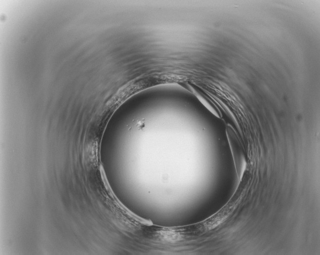 X0000086980425200704231824