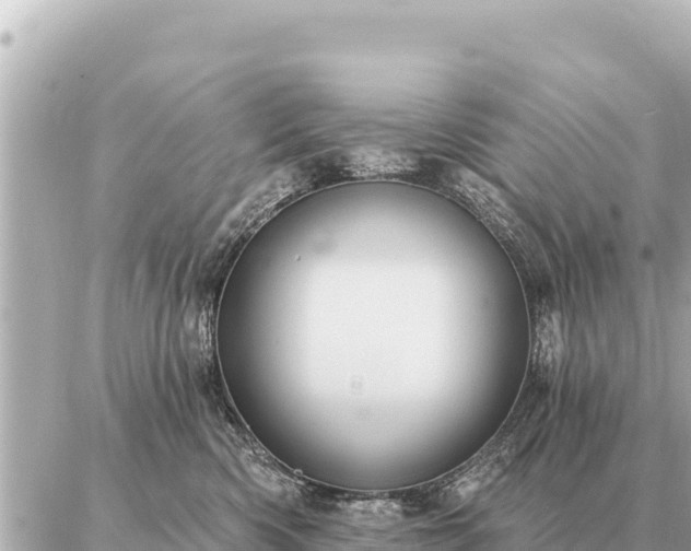 X0000086980426200704231824