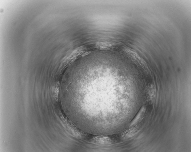 X0000086980427200704231824