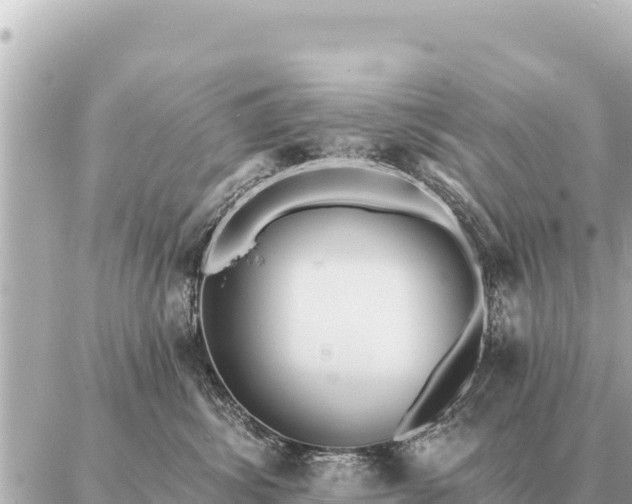 X0000086980428200704231824