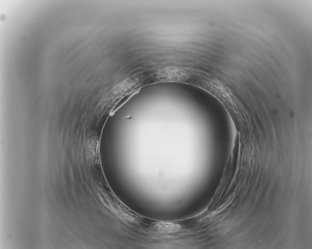 X0000086980429200704231824