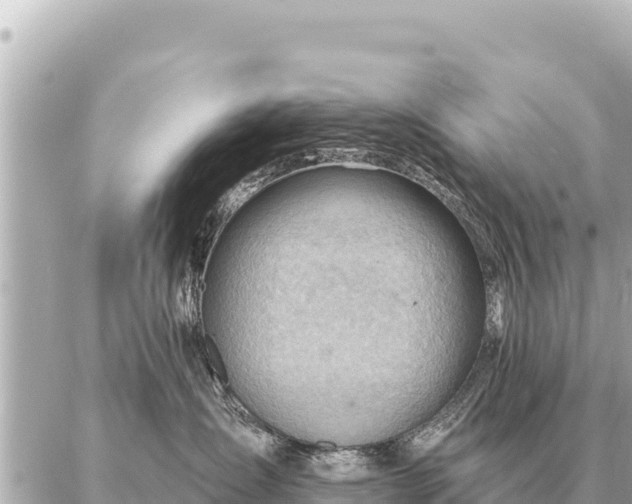 X0000086980431200704231824