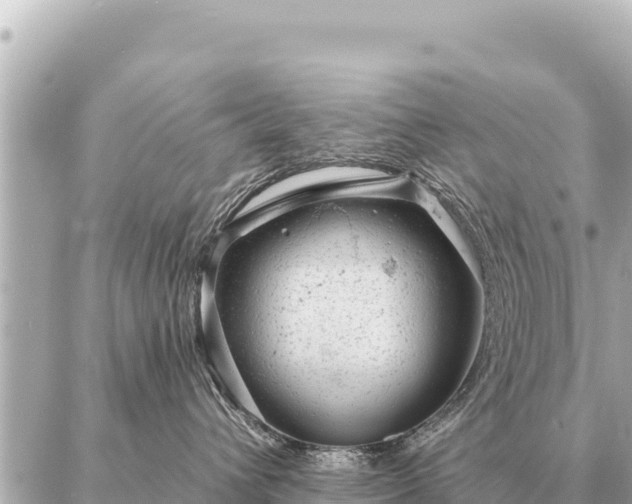 X0000086980432200704231824