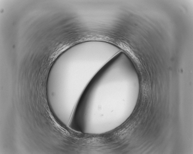 X0000086980433200704231823