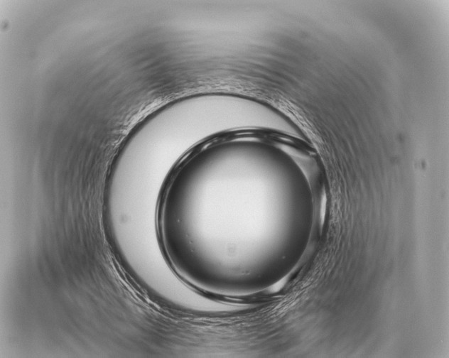 X0000086980434200704231823