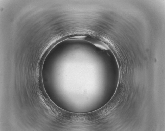 X0000086980435200704231823