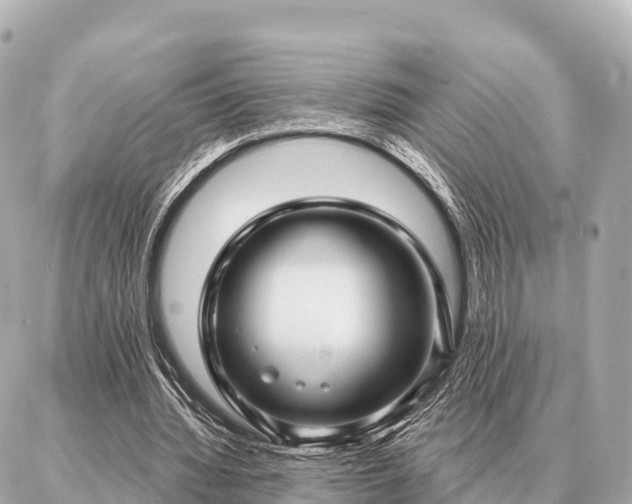 X0000086980436200704231823