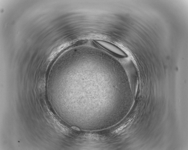 X0000086980437200704231823