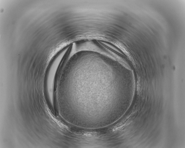 X0000086980438200704231823