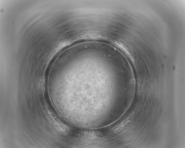 X0000086980439200704231823