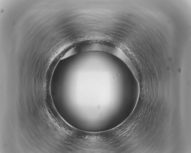 X0000086980440200704231823