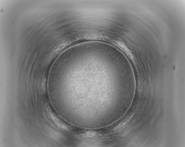 X0000086980441200704231823