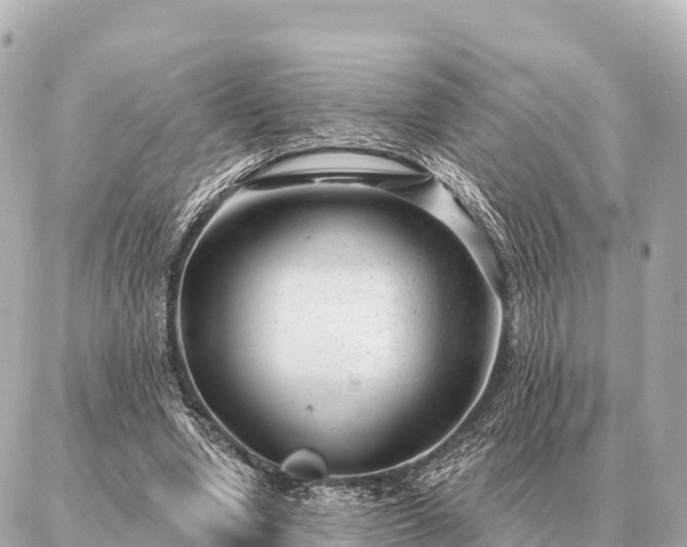 X0000086980442200704231823