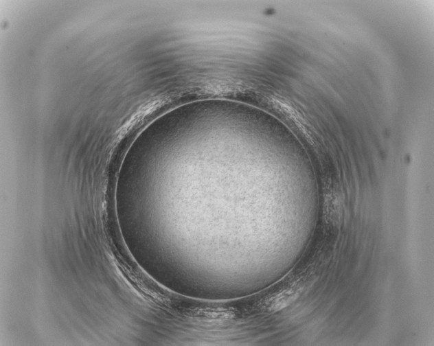 X0000086980443200704231823