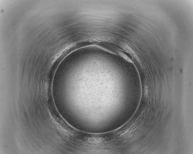 X0000086980444200704231823