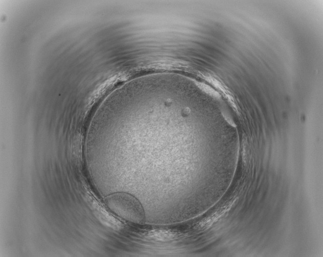 X0000086980445200704231823