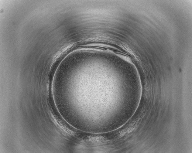 X0000086980446200704231823