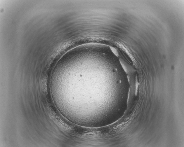 X0000086980447200704231823