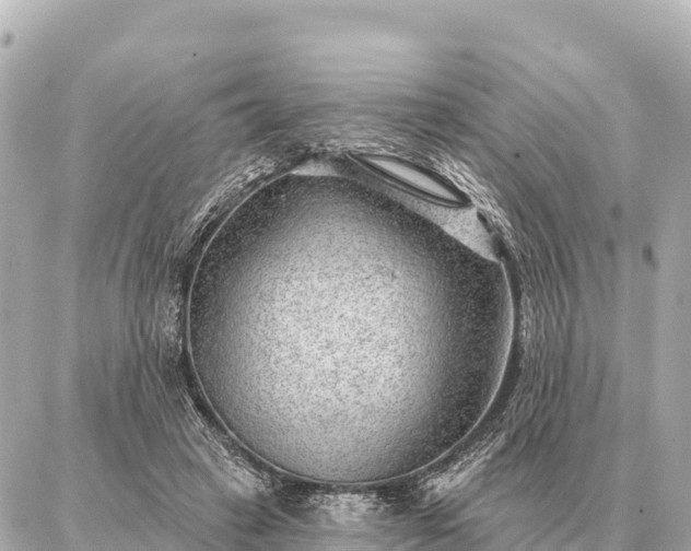 X0000086980449200704231823