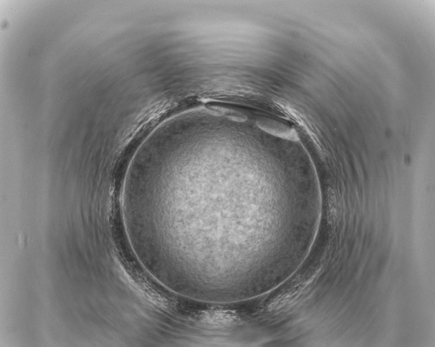 X0000086980451200704231823