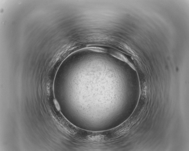 X0000086980452200704231823