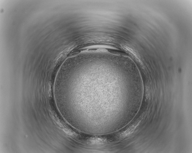 X0000086980453200704231823