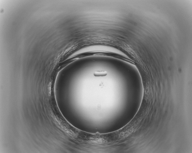 X0000086980454200704231823