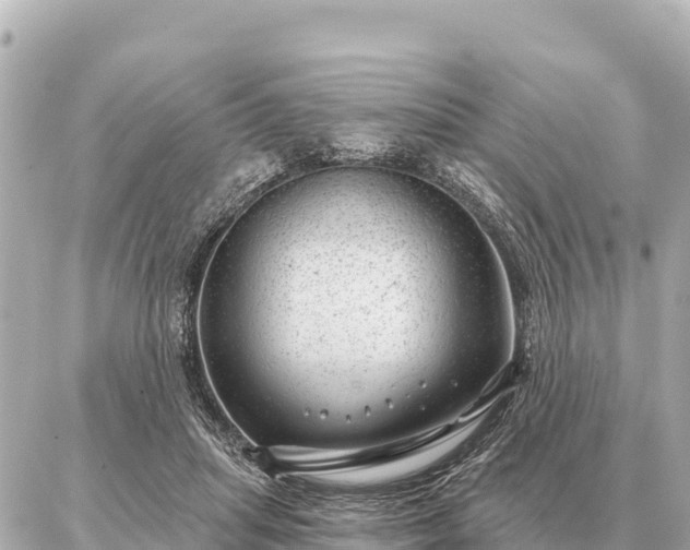 X0000086980455200704231823