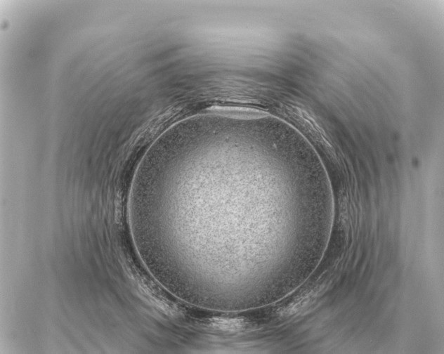 X0000086980457200704231823