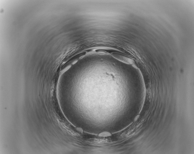 X0000086980458200704231824