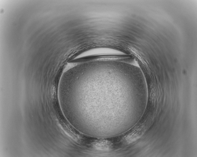 X0000086980459200704231824