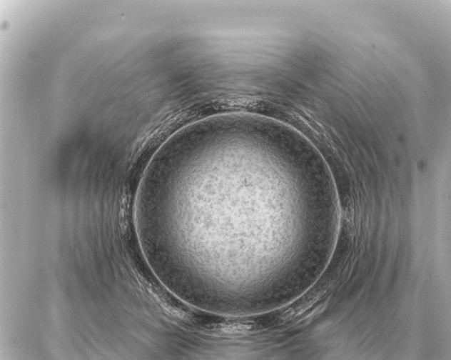 X0000086980462200704231824