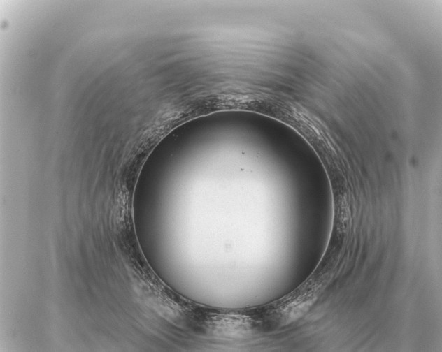 X0000086980463200704231824