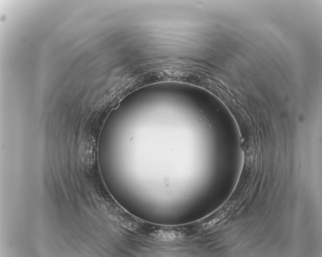 X0000086980464200704231824