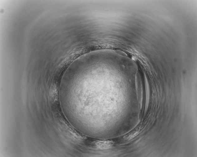 X0000086980465200704231824