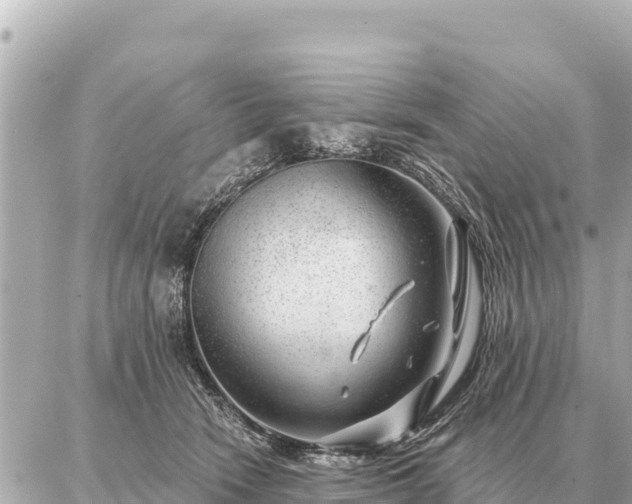 X0000086980466200704231824