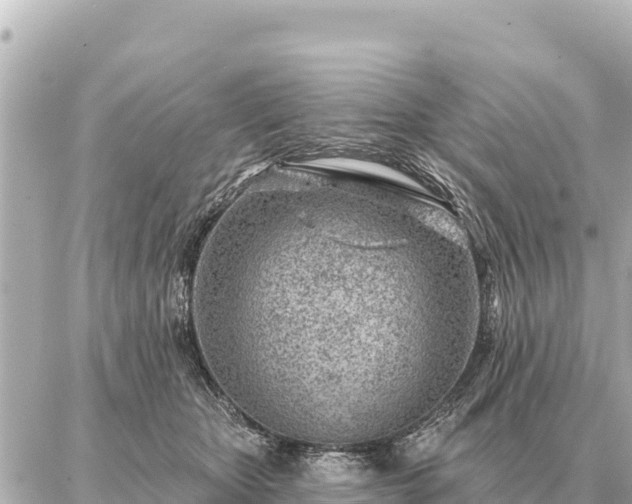 X0000086980467200704231824