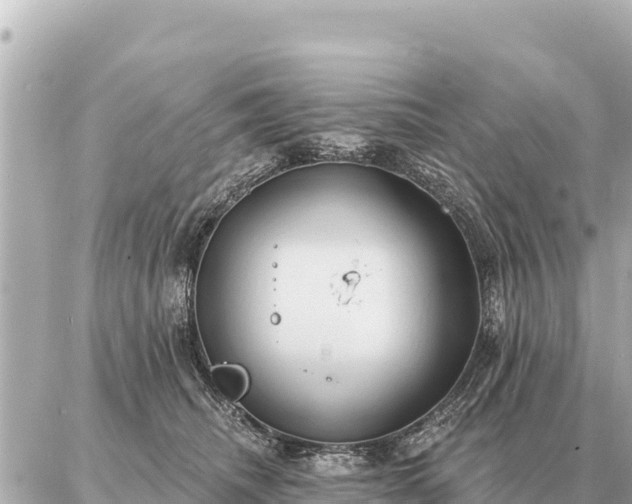 X0000086980468200704231824