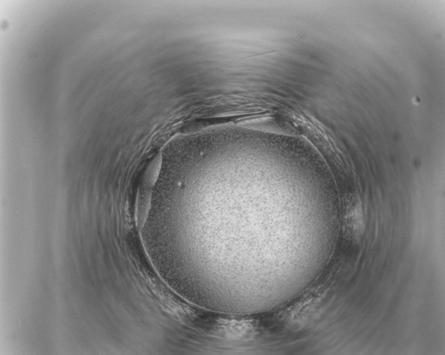 X0000086980469200704231824