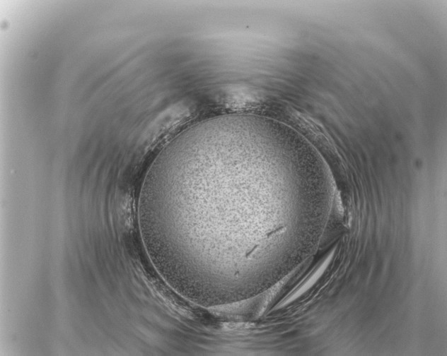 X0000086980470200704231824