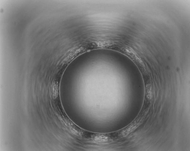 X0000086980471200704231824