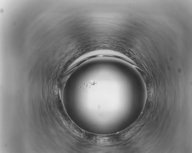 X0000086980472200704231824