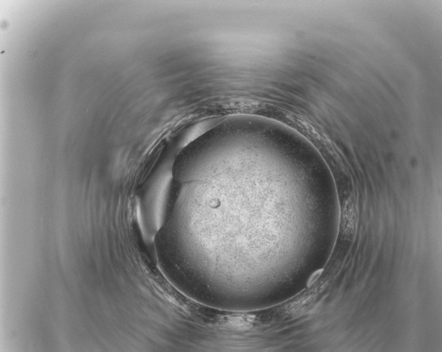 X0000086980474200704231824