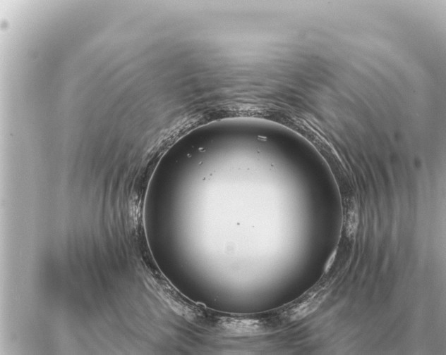 X0000086980476200704231824